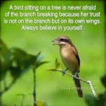 bird quote